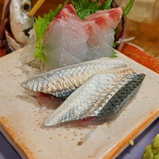 かんぬきさより・うめいろ(魚と酒はなたれ)