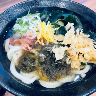 ゆずとろろ昆布のわかめうどん(手打ちうどんわだや)