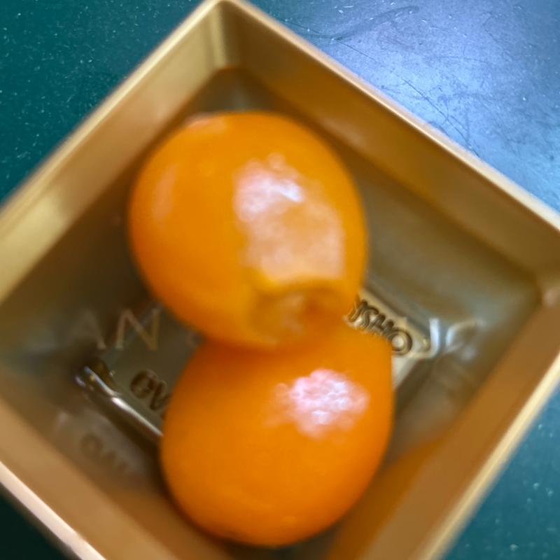 金柑蜜煮(大丸札幌店)