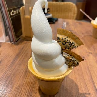 2doorソフト