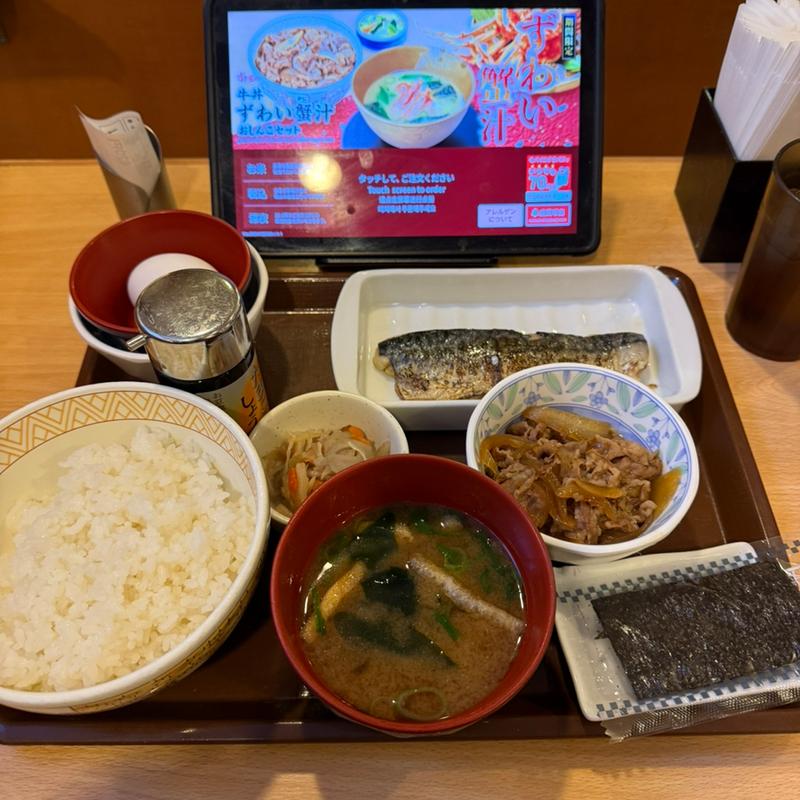塩さばたまかけ定食　ミニ牛皿(すき家 八潮西袋店)