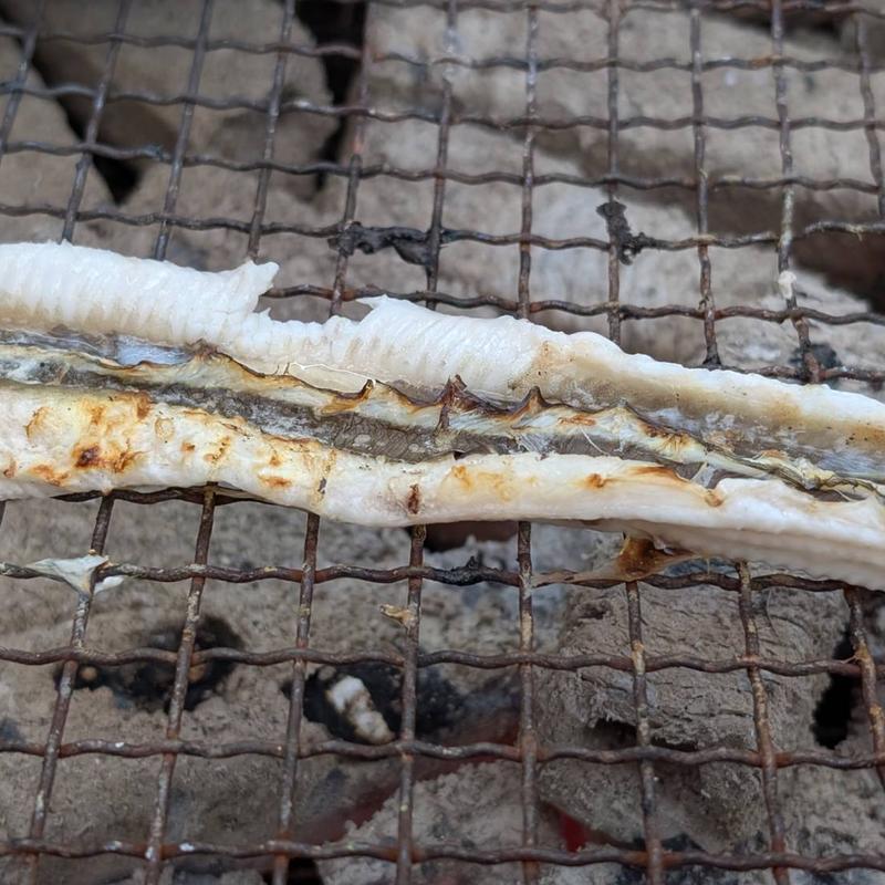 地穴子(かき小屋 島田水産 )