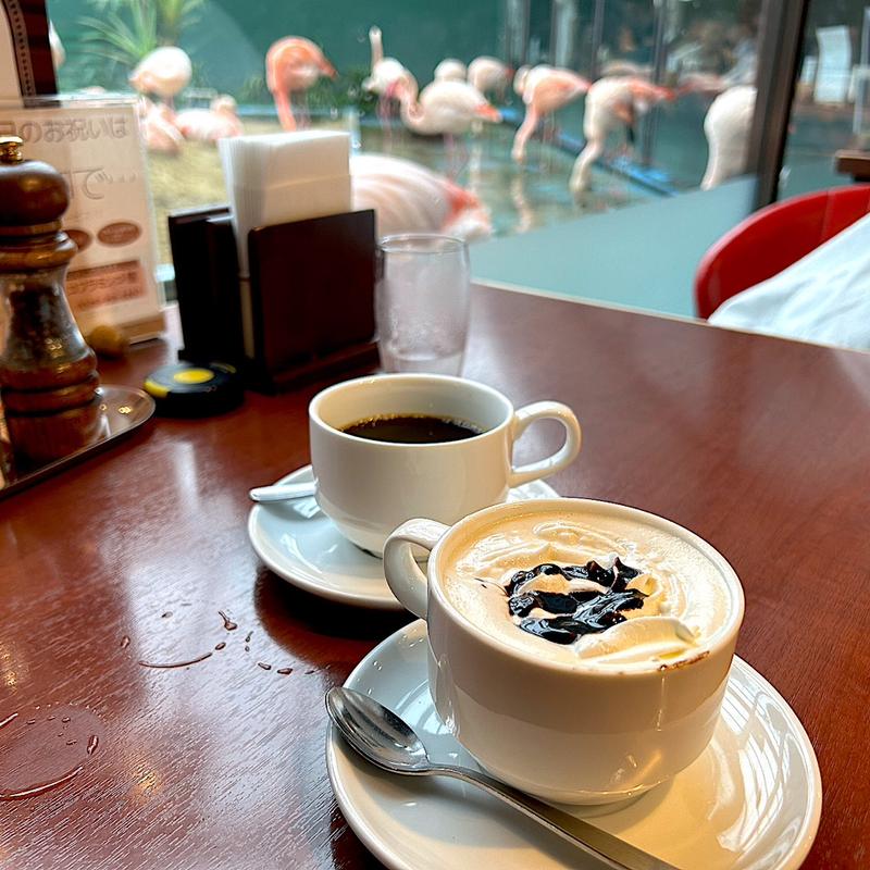 ホットココア＆アメリカン(シーフードレストランメヒコ いわきフラミンゴ館)