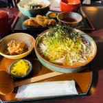 辛々蕎麦(そば処 ひろ )