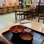 たれかつ丼(ひゃくてん 燕店 )