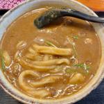 特製カレーうどん