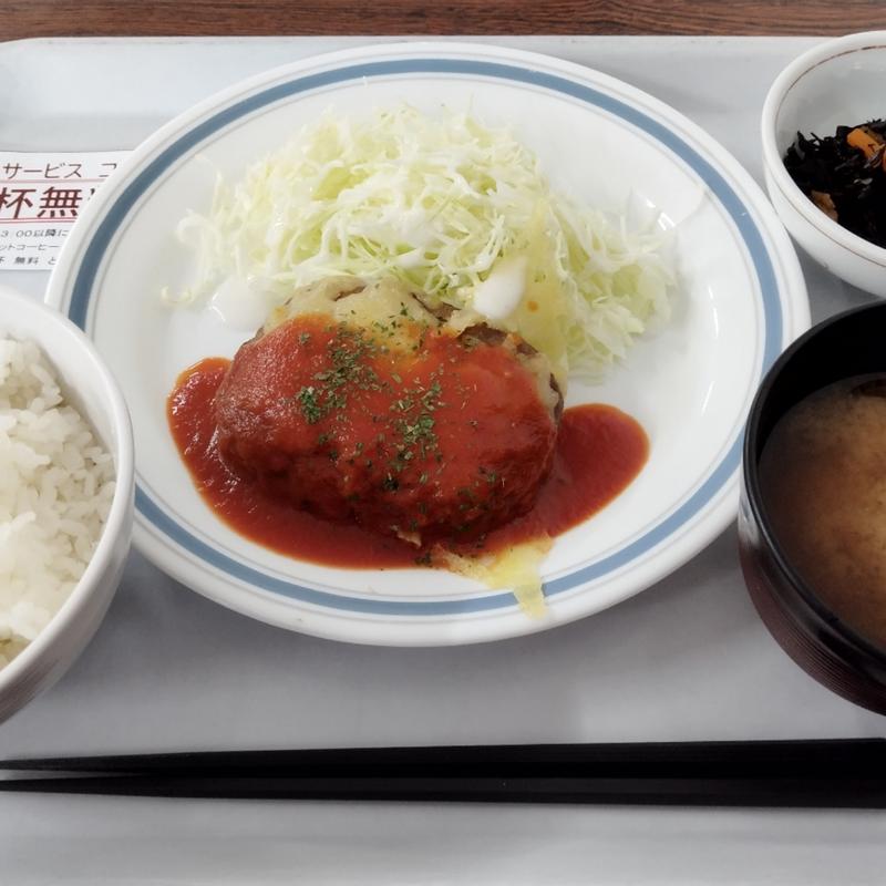 A定食(チーズハンバーグ トマトソース)(葛飾区役所　食堂 )
