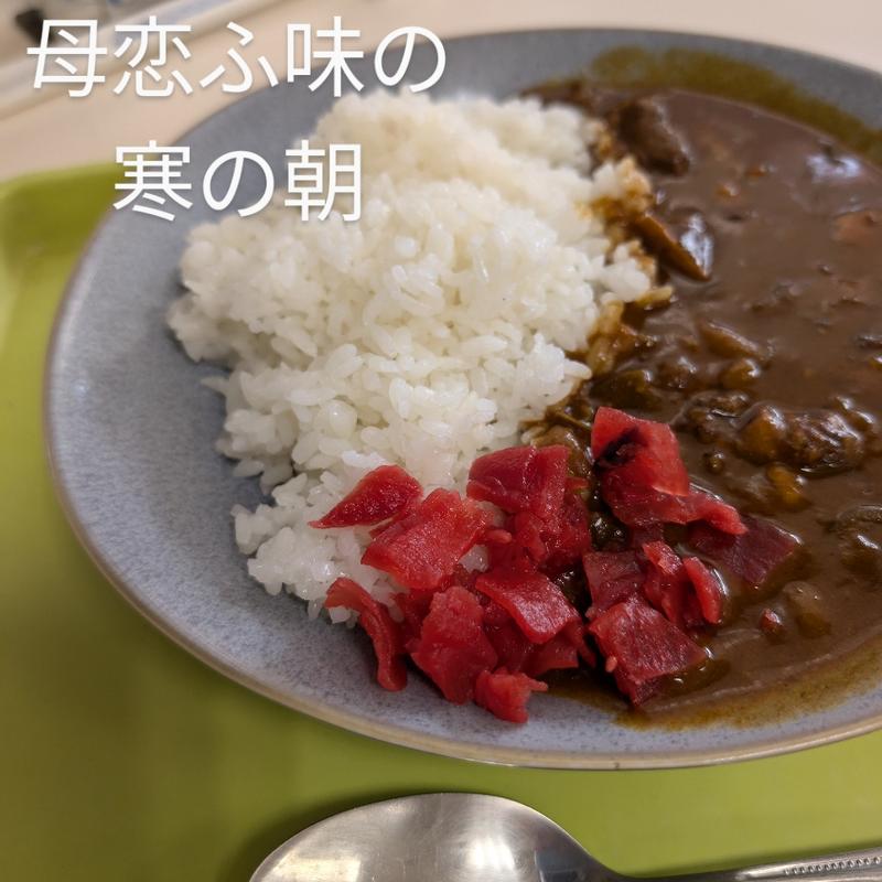 懐かしのカレー(エリアリンク パル)