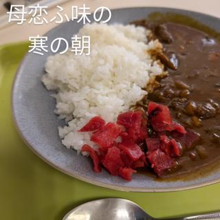 懐かしのカレー