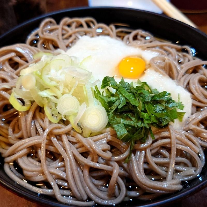 冷やしとろろそば(やじろ兵衛 )