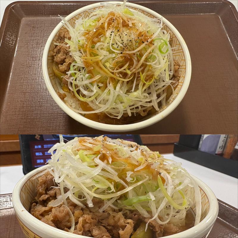 牛丼並・TP白髪ねぎ(すき家 横浜北幸店 )