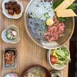 桜えびしらす2色丼(大漁丸直売所 )