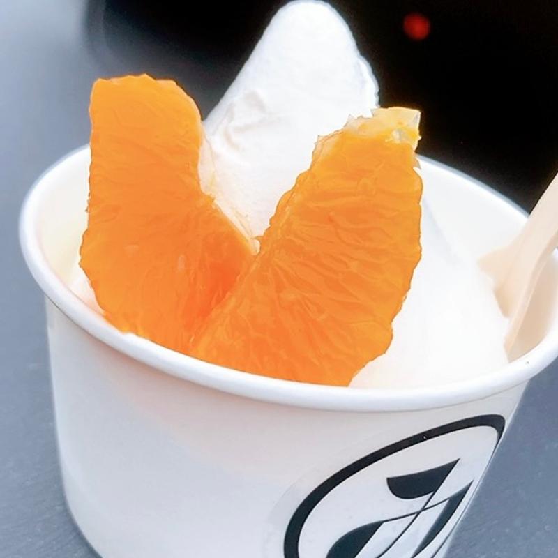 キッズソフトクリーム（季節のフルーツ付き）(みのりカフェ 元気市広島店)