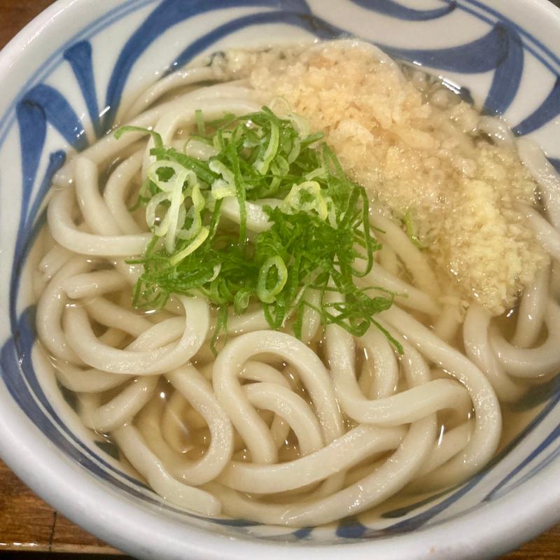 温かけ(トウキョウライトブルーホンゴウスリー)