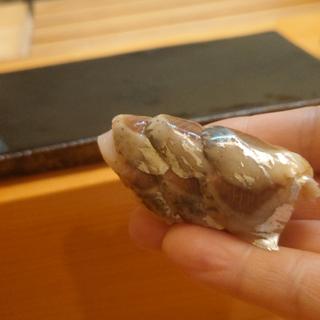 鰯(鮨 来多老 )