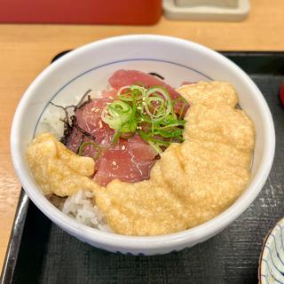 山かけ南まぐろの漬け丼