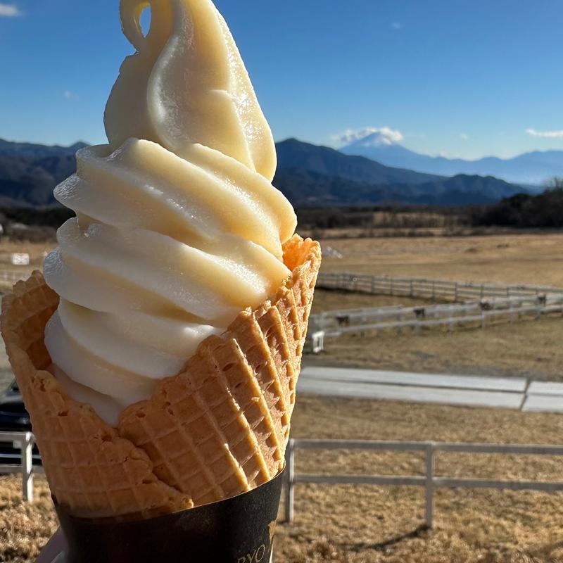 プレミアムソフトクリーム(ジャージーハット （Jersey Hut）)