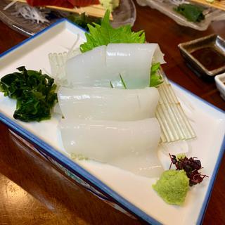 イカの刺身