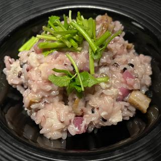 本日のおすすめ　リゾット(MOKICHI TRATTORIA)