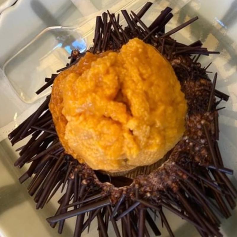 雲丹(越前三国湊 海船や)