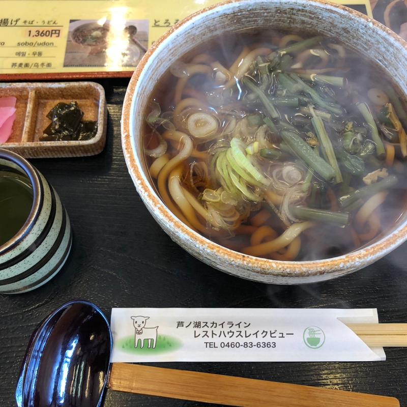 山菜うどん(芦ノ湖スカイラインレストハウスレイクビュー )