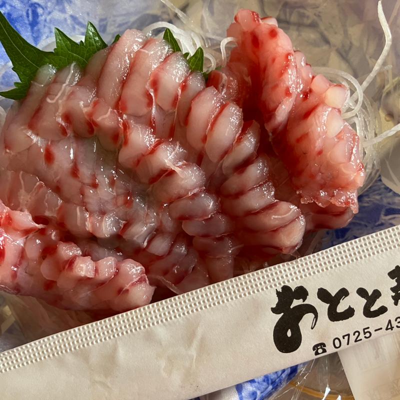 アカエイ(おとと)