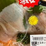 スルメイカ(おとと)