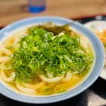 かけうどん中(うどん村 辰巳店 )