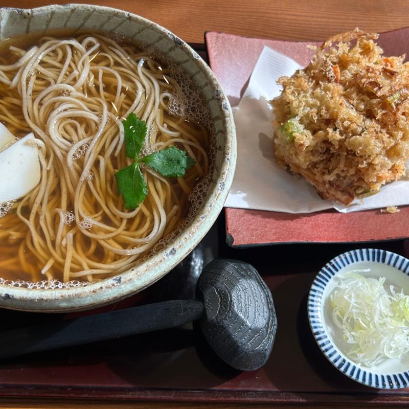 海鮮かき揚げそば大盛(手打ち蕎麦 雅遊庵 風の陣)