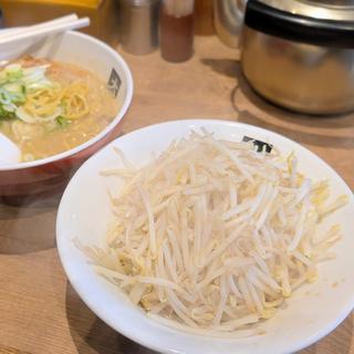もやし(大島)