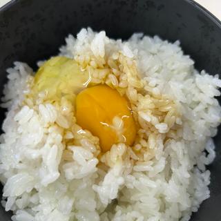 たまごかけごはん(札幌市役所地下食堂)