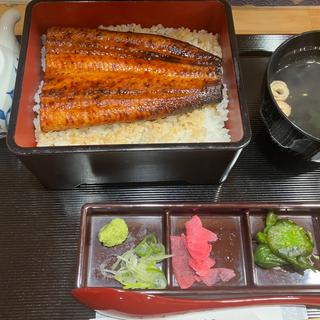 並　梅(鰻の成瀬 川崎駅前店 | Naruse’s Unagi Eel Restaurant Kawasaki)