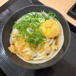 ぶっかけうどん(ひや)玉子天トッピング