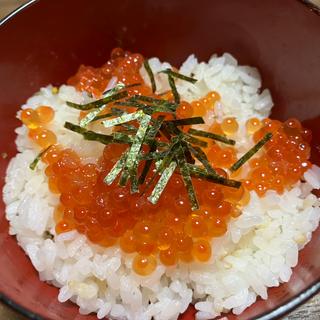 いくら丼