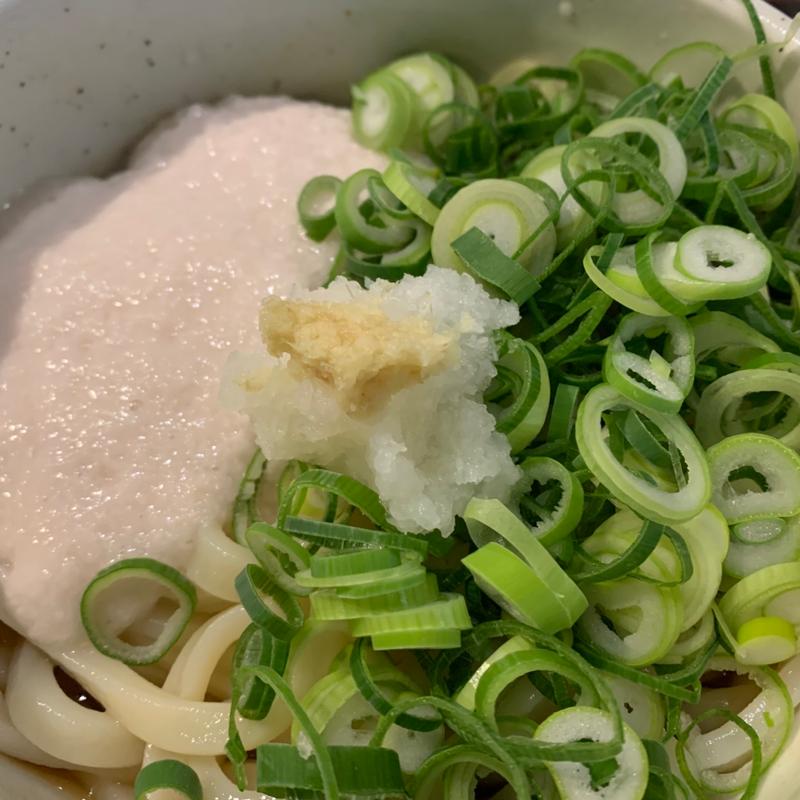 とろろうどん(太常)