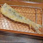 いわし(天ぷらSakaba 型無虎南 KONAN)