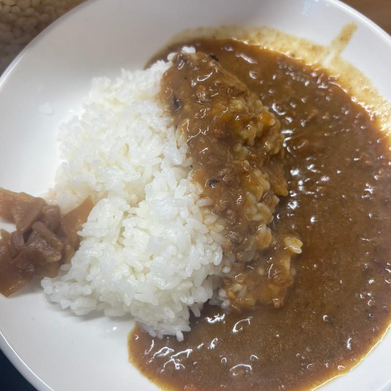 ミニカレー(にく蕎麦 ふう家)