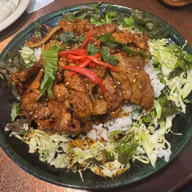 焼肉盛りライス(ニューストン )