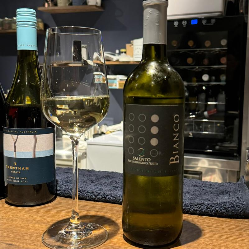 SALENTO INDICAZIONE GEOGRAFICA PROTETTA MALVASIA BIANCA 2023(namiai)