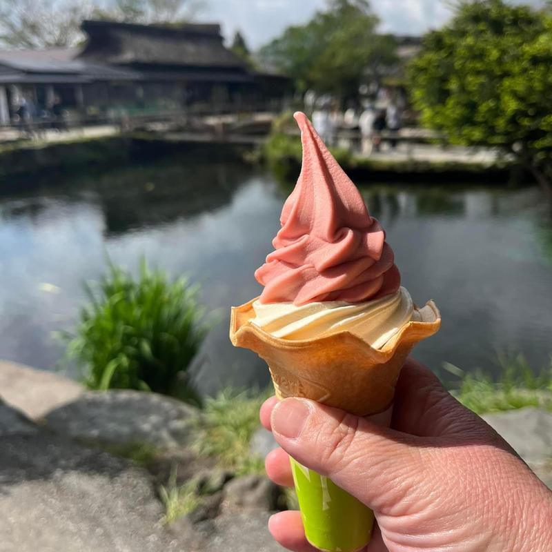 バニラといちごのミックス(忍野八海池本 （オシノハッカイイケモト）)