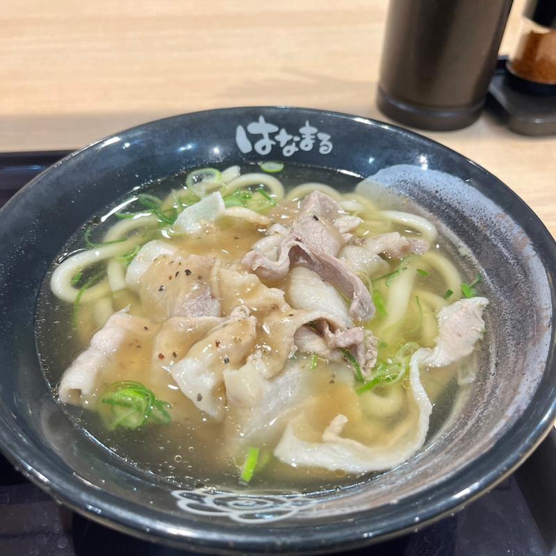 塩豚ねぎうどん(はなまるうどん 京都錦店 )
