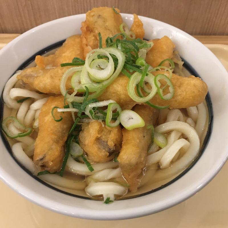 ごぼう天うどん(鶴丸饂飩本舗 北浜店)