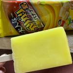 ガリガリくん(セブン-イレブン キヨスクＪＲ大阪城公園駅改札口店)