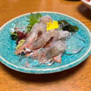 シラサ海老