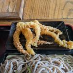 ゲソ天ざるそば（大盛）