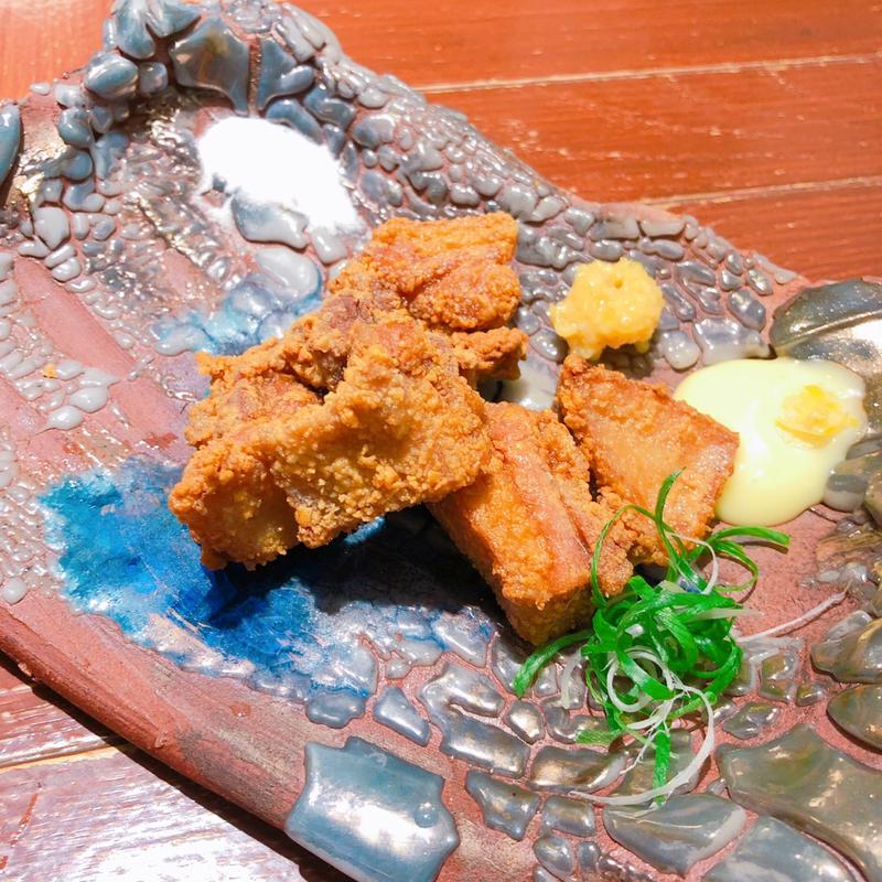 鴨肉の唐揚げ(炭火焼き鳥 鴨尽)