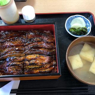 なすの蒲焼き重 大(かわとみ )