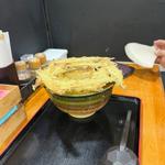 ごぼ天うどん(大地のうどん 筑紫野店)