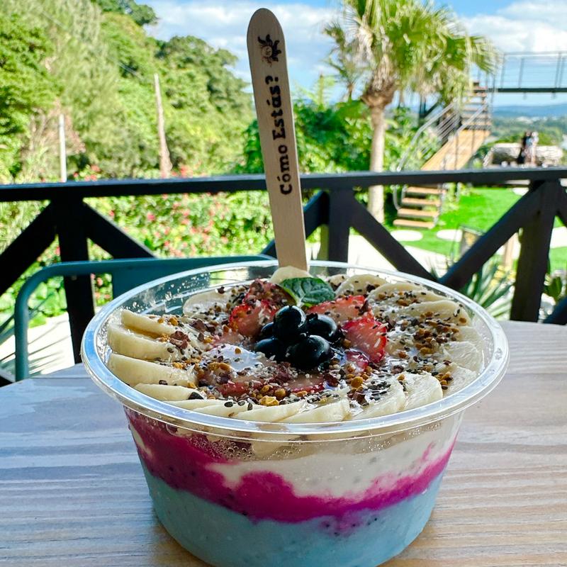 マーメイドボウル(CASA SOL)