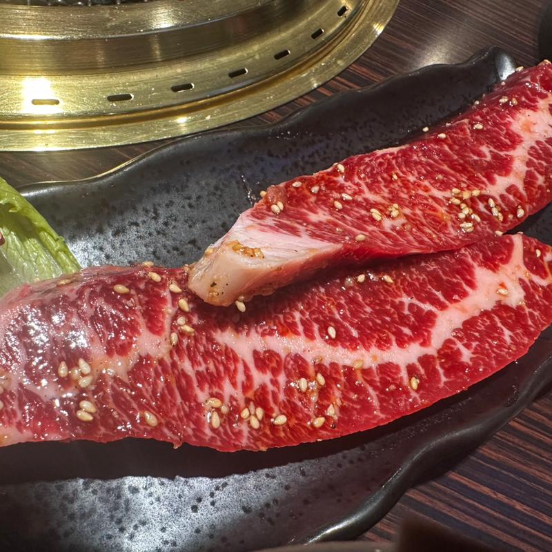 ササミ(炭火焼肉 きらく亭)